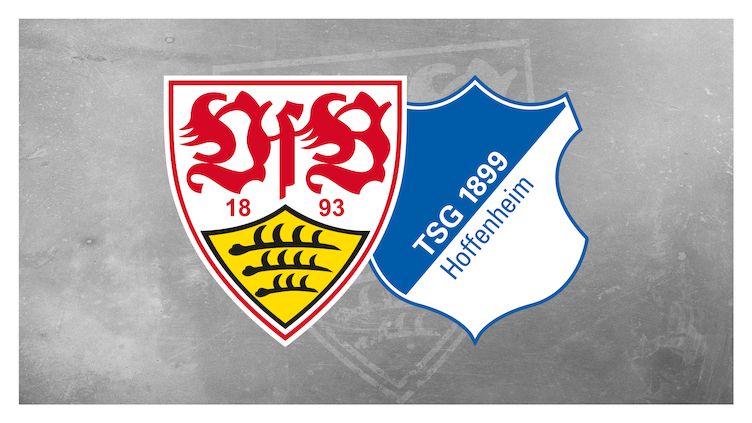 Hoffenheim Logo ~ news word