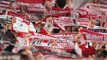 Faninfo FC Energie Cottbus - VfB
