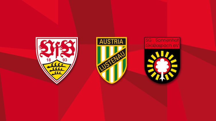 Vfb Stuttgart Teilnahme 3 Ligen Cup