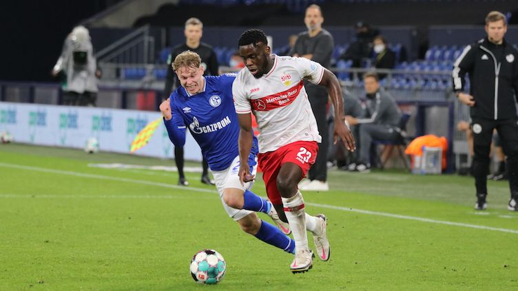 Vfb Schalke 2021 Vfb Schalke 2021